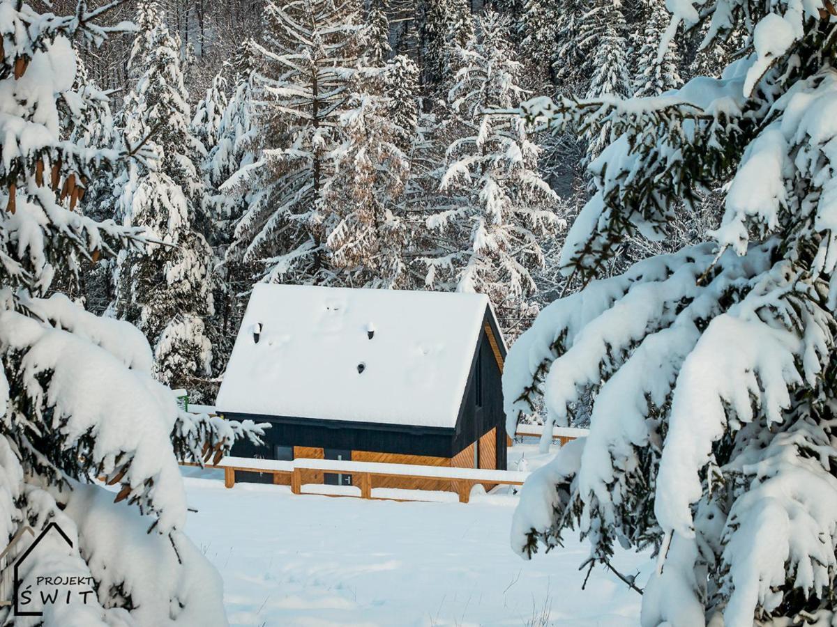 Projekt Swit - Domki Z Prywatna Jacuzzi I Sauna Żywiec Eksteriør billede