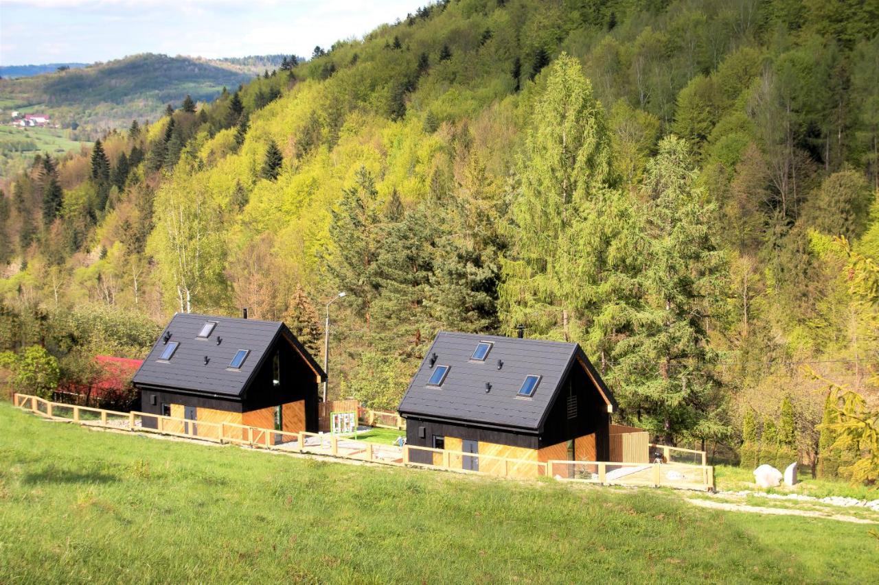 Projekt Swit - Domki Z Prywatna Jacuzzi I Sauna Żywiec Eksteriør billede